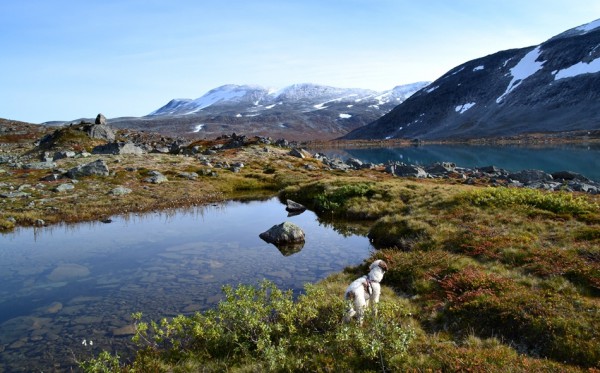 Vassvendtjønnene mot aust 28.09.15