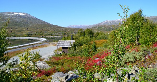 hamsevika mot hamsedalen 09.09.15