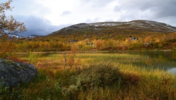 haustfarger ved Grøntjønn 24.09.15