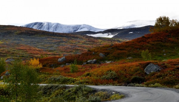 nysnø på skridulaupen 20.09.15