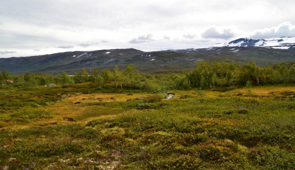 skridulaupen grotlivatnet 01.09.15