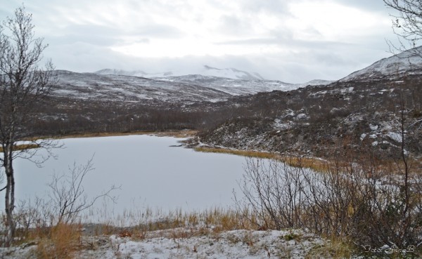 Den fyrste snøen 21.10.15