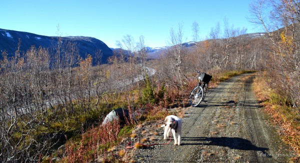 Gamle Geirangerveg 18.10.15