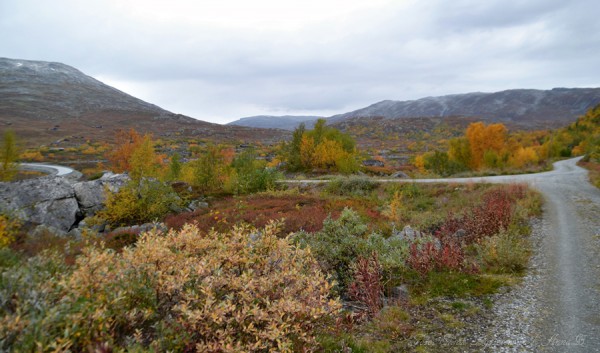 hamsevika-breidalen-grotli-skjak-14-09-16