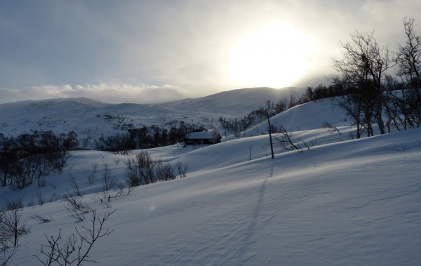 nysnø og sol 30.01.16