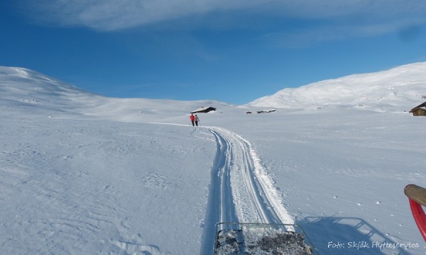 breidalen mot hamsedalen