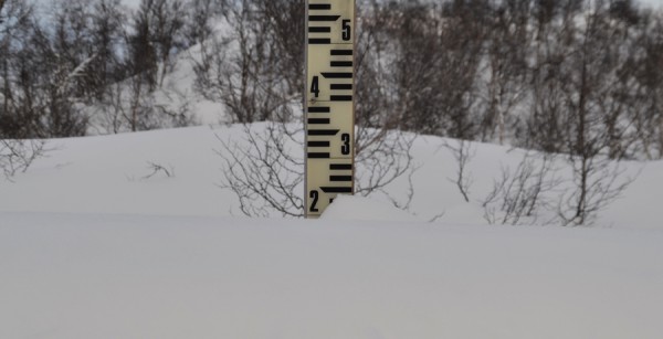 snømål 04.02.16