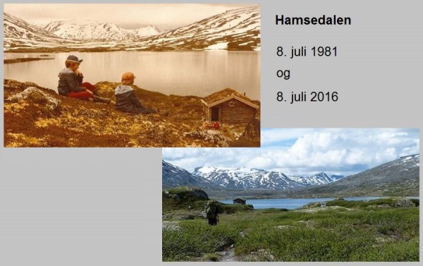 Hamsedalen 1981 og 2016