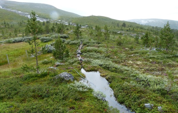 skjellom c 07.08.16