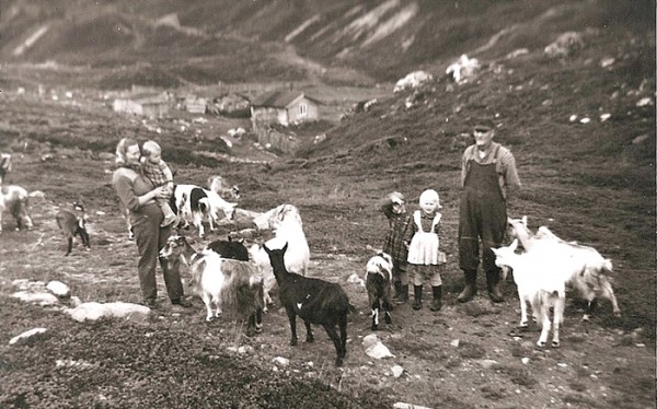 tundradalen 1958