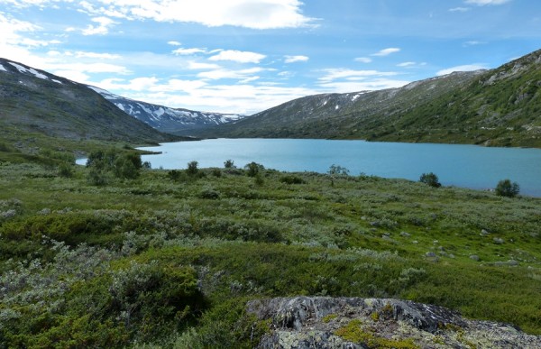 Heillstuguvatnet 24.07.16