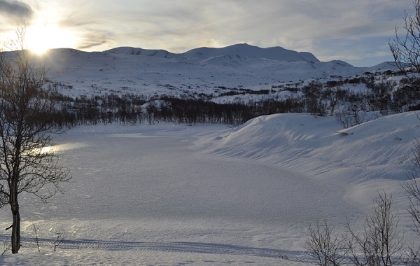 Skridulaupen Grotli 26.01.17