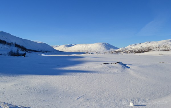 breidalsvatnet breidalen breidalseggje 14.05.17