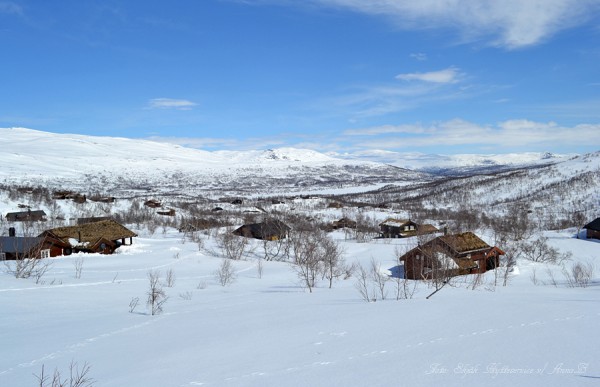 grotli hyttegrend grotlivatnet 29.04.17