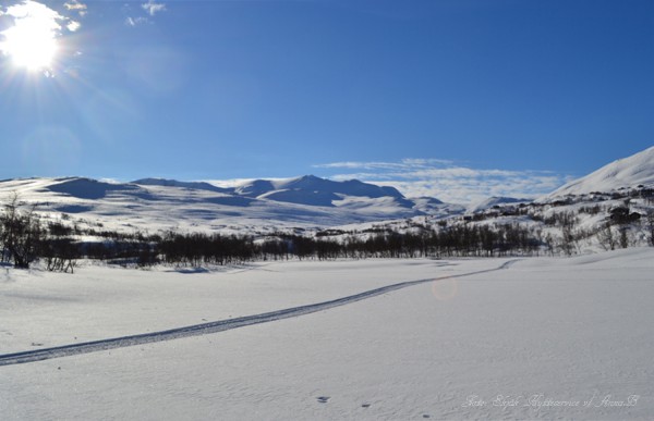 grotli hyttegrend skjåkfjell skridulaupen 03.03.17