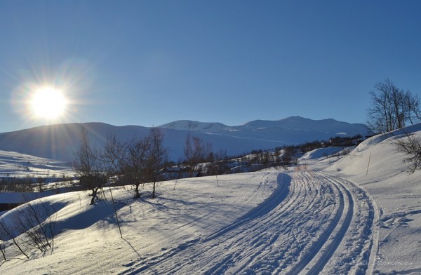 grotli hyttegrend skridulaupen 07.02.17