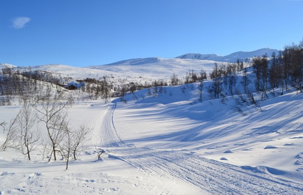 grotli kjostjønne skridulaupen 07.03.17