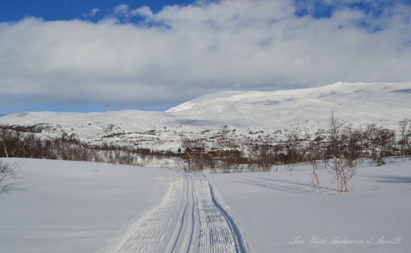 grotlivassrunda grotli-skiheiser krosshø 27.02.17