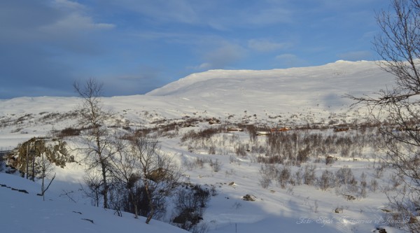 mot Krosshø, Grotli 24.01.17
