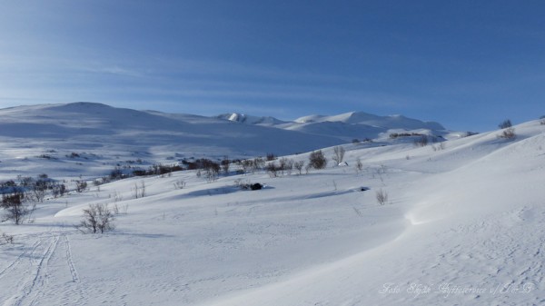 skjåkfjell grotli skridulaupen 25.03.17