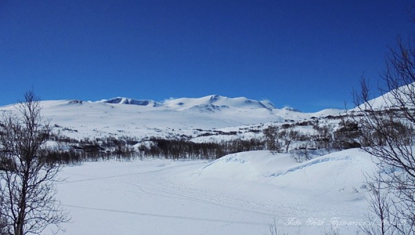 skjåkfjell skridulaupen grotli 11.05.17