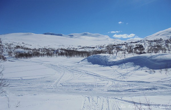 skjåkfjell skridulaupen grotli 18.04.17