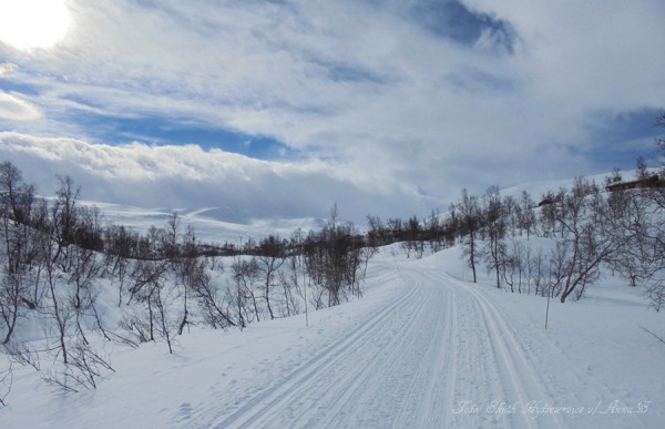 skjåkfjell skridulaupen strynsfjellvegen grotli 13.03.17
