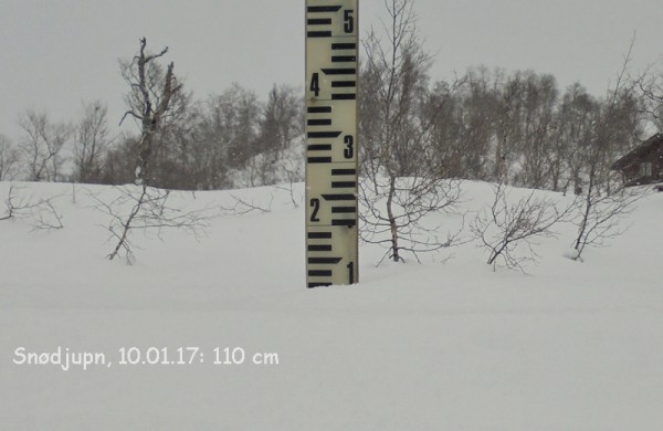 sno-10-01-17