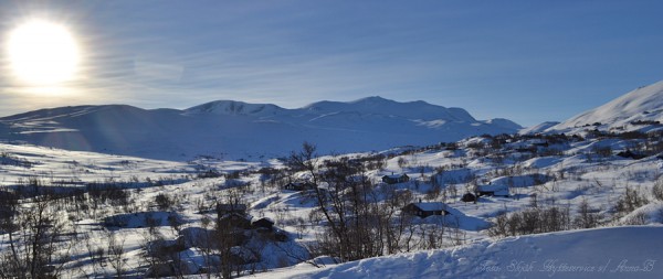 grotli hyttegrend mot skridulaupen