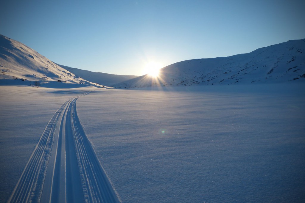 Løypekøyring