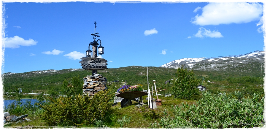 Sumar – med sine gleder og bekymringer…